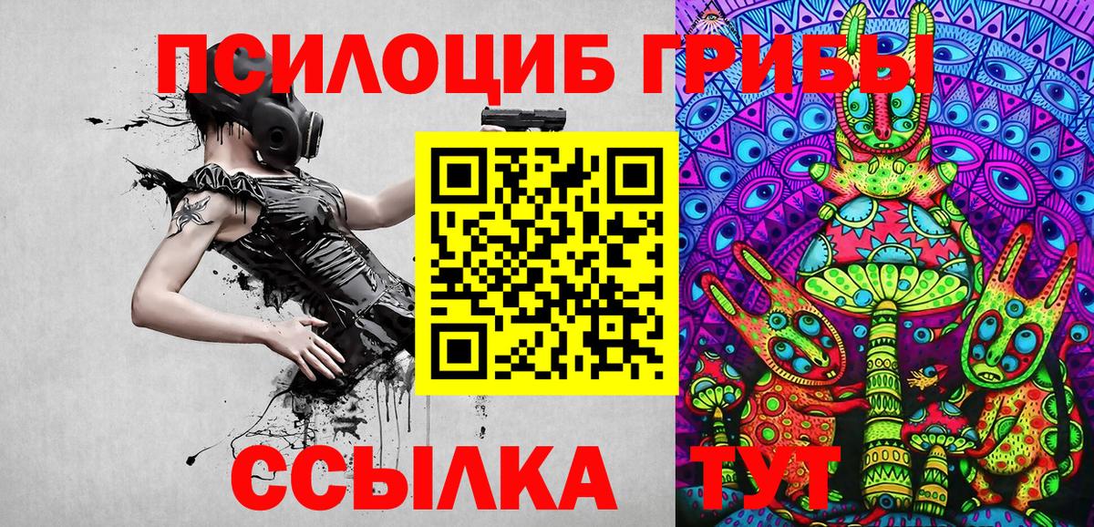 Новошахтинск  купить закладку  Галлюциногенные грибы Psilocybe  Вход с VPN  Псилоцибиновые грибы мицелий 