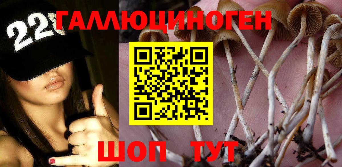Псилоцибиновые грибы GOLDEN TEACHER Новошахтинск